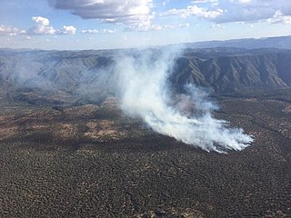 <span class="mw-page-title-main">Polles Fire</span> 2020 wildfire in Arizona