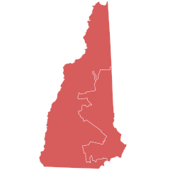 2020 New Hampshire gubernatorial election results by congressional district.svg