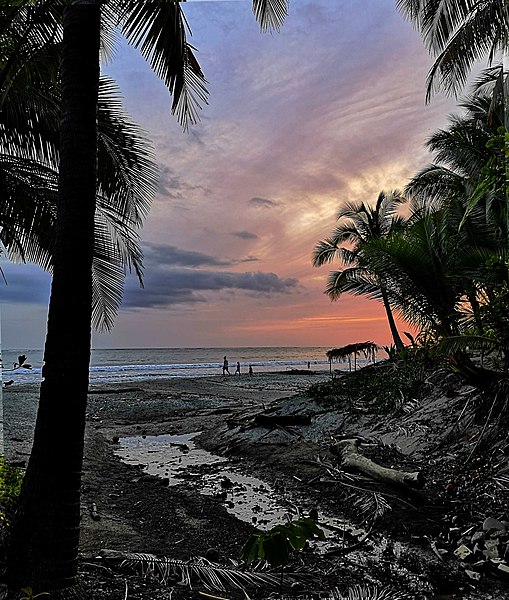 File:2021 Playa Samara Costa Rica enero 2021 14.jpg