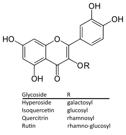 3-O-Glycosides of quercetin