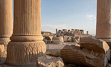 Column bases at Persepolis 3428793 myrth jhny tkht jmshyd.jpg