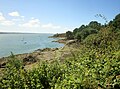 Le littoral entre l'Île Grise et la Pointe du Bindy.