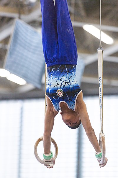 File:5th Budapest Cup 2019-05-26 Anar Hasanov (Norman Seibert) - 00205.jpg