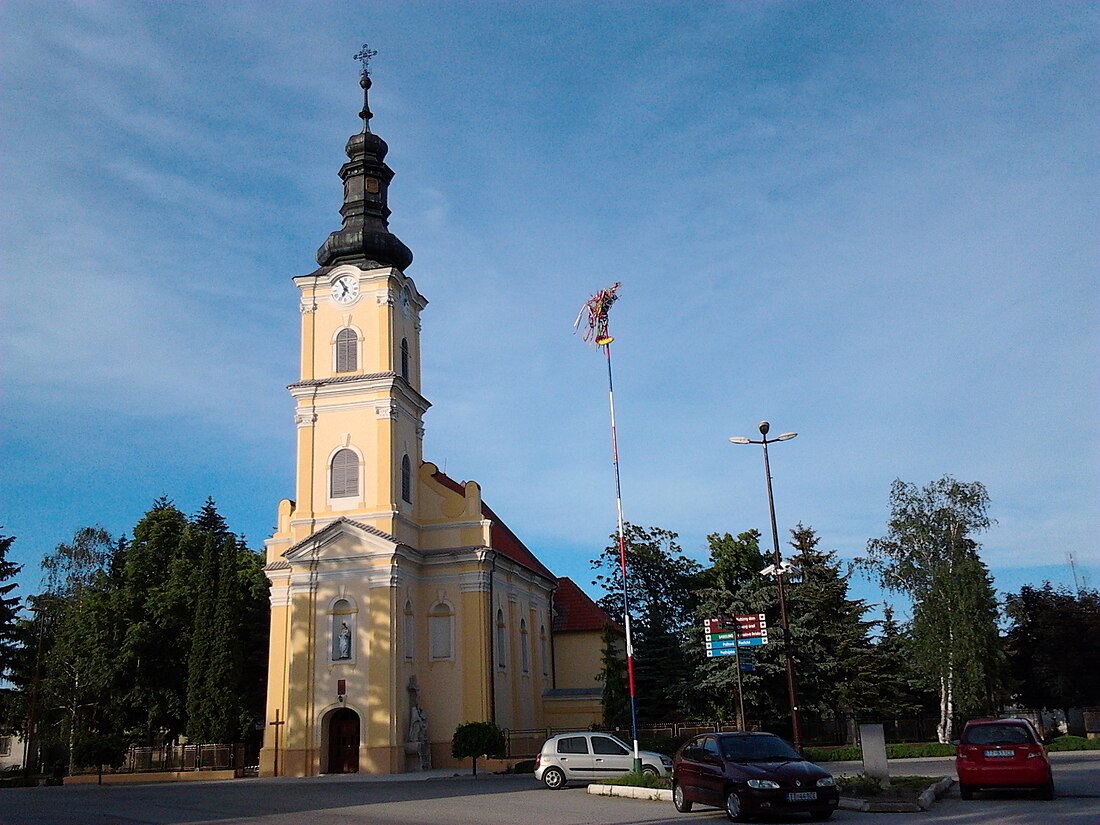 Vedrőd