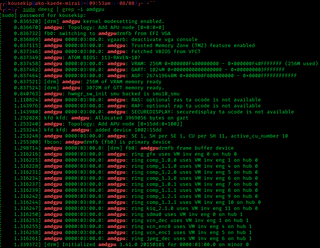 <span class="mw-page-title-main">AMDgpu (Linux kernel module)</span> AMD GPU driver for Linux