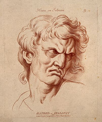 403px-A_face_expressing_hatred_or_jealousy._Etching_in_the_crayon_Wellcome_V0009343.jpg (403×480)