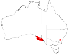 Acacia nematophyllaDistMap623.png