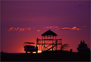 Safari#mediaviewer/Africa_safari_sunset