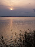 Vignette pour Parc naturel de l'Albufera