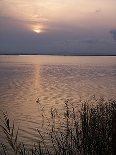 Parque Natural de la Albufera