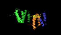 Prolyl hydroxylase.png'nin alfa alt birimleri