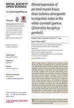 Thumbnail for File:Altered expression of pectoral myosin heavy chain isoforms corresponds to migration status in the white-crowned sparrow (Zonotrichia leucophrys gambelii).pdf