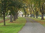 Althrey Woodhouse near Bangor-is-y-coed - geograph.org.uk - 65935.jpg