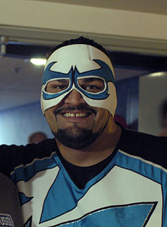 <span class="mw-page-title-main">Rosey (wrestler)</span> Samoan-American professional wrestler (1970–2017)