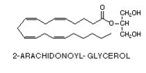 formule structurelle du 2-AG