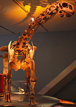 <i>Malawisaurus</i> Extinct genus of dinosaurs