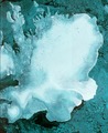 Austfonna ice cap ESA359686.tiff