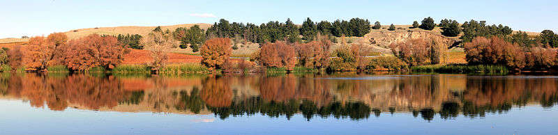 File:Autumn in Napa Valley11.jpg