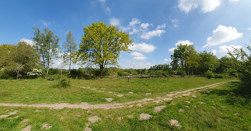 File:Baardwijkse Overlaat.jpg