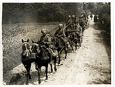 Un convoi de la cavalerie, Europeana collections 1914-1918