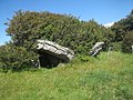 Ballynacloghy Dolmen.jpg