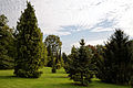Beale Arboretum lawn trees West Lodge Park - Hadley Wood - Enfield London 1.jpg