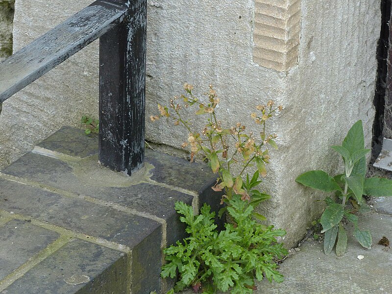 File:Bench mark, Gloucester prison - geograph.org.uk - 6121994.jpg