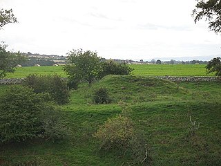 <span class="mw-page-title-main">Billie Castle</span> Architectural structure in Scottish Borders, Scotland, UK