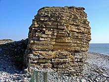 Layers of Blue Lias rocks at Rhoose Point, Vale of Glamorgan Blue Lias cliff, Rhoose - geograph.org.uk - 981193.jpg