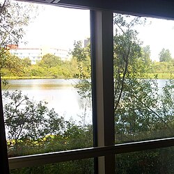 A small lake viewed from a hotel room