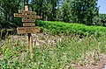 * Nomination Signpost in the Forest “Brachter Wald” in Brüggen --Carschten 07:44, 29 June 2020 (UTC) * Promotion Can you add a cat about the signs? I'm not sure whether it is a hiking path --Poco a poco 09:02, 29 June 2020 (UTC) @Poco a poco:  Done I'm not sure if it's for hiking, but I guess so. Categories added. Thanks! --Carschten 14:02, 29 June 2020 (UTC)  Support Good quality. --Scotch Mist 14:16, 29 June 2020 (UTC)