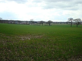 Bromley Common Human settlement in England