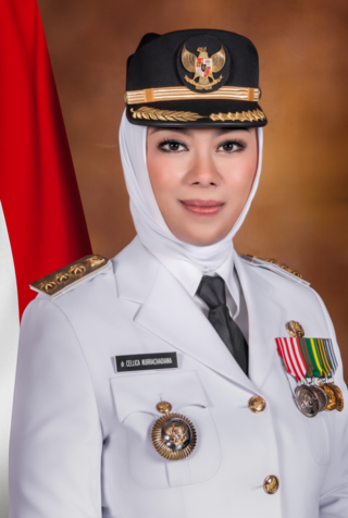 <span class="mw-page-title-main">Cellica Nurrachadiana</span> Indonesian politician