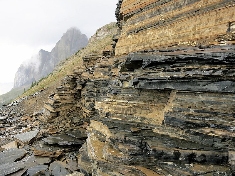 File:Burgess Shale, Yoho National Park.jpg