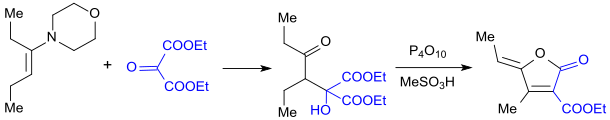 Synthese eines substituierten Butenolids mit Diethylmesoxalat