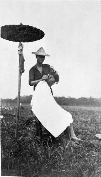 File:COLLECTIE TROPENMUSEUM Een kapper met een tondeuse aan het werk in het open veld op een tabaksplantage TMnr 60002423.jpg