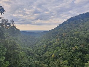 Yungas: Etimología y sinonimia, Clima, Yungas de los Andes centrales