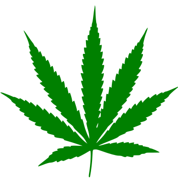 English: Leaf of Cannabis עברית: עלה של קנביס