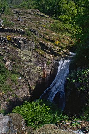 Français : Cascades d'Arifat, Tarn, France. English: Waterfalls of Arifat, Tarn, France.