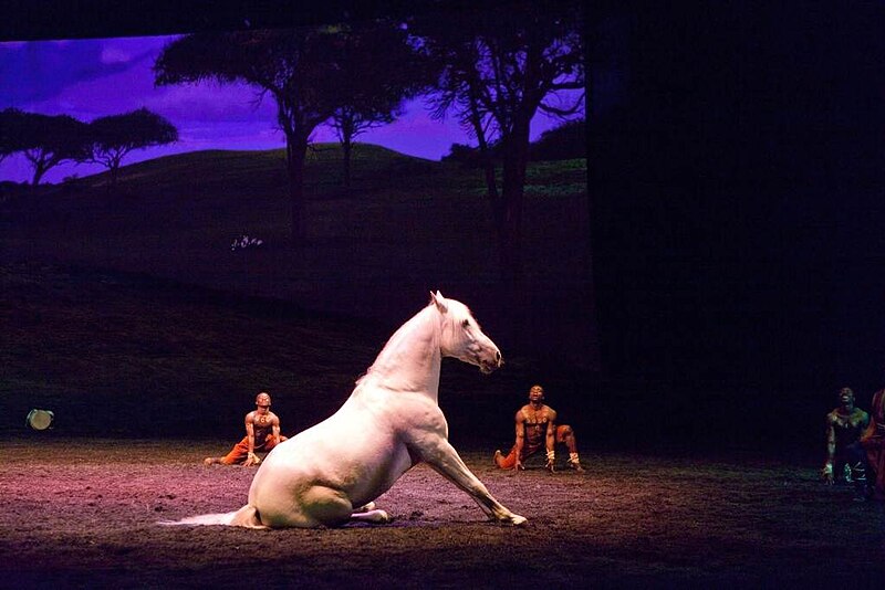 File:Cavalia Odysseo - Sitting down.jpg