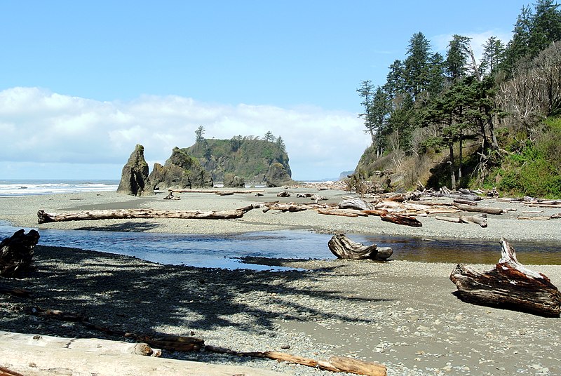 File:Cedar Creek Abbey Island Ruby Beach.jpg