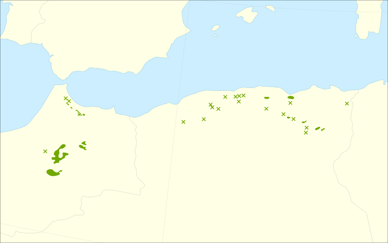 File:Cedrus atlantica range.svg