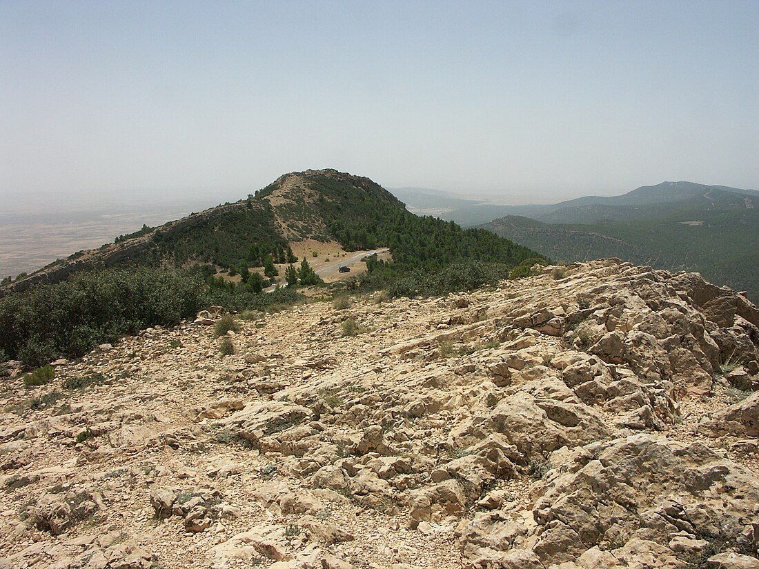 Parc Nacional de Chaambi