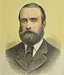 Charles Stewart Parnell (1882)