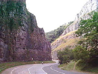 Cheddar Complex Site of Special Scientific Interest in Somerset, England