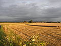 Cholsey landscape