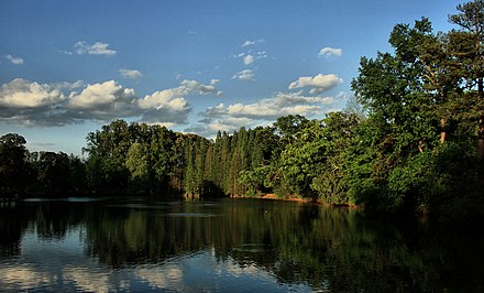 Lake Clara Meer in Piedmont Park