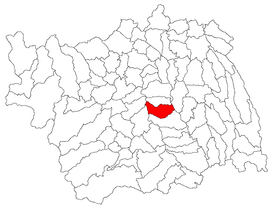 Location in Bacău County