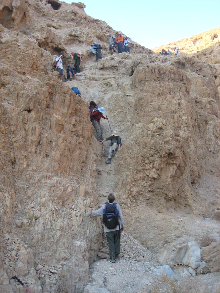 File:Climbing (or sliding) down the mountain (3046911647).jpg - Wikimedia  Commons