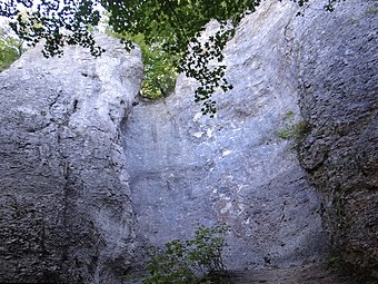 Lewe Cmentarzysko i Cyrk Cmentarzyska